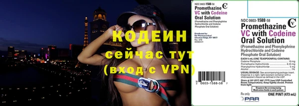 гидра Корсаков