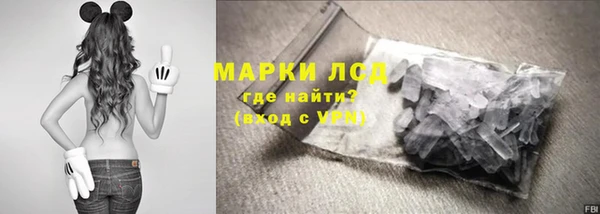 гидра Корсаков