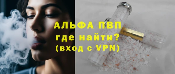 гидра Корсаков