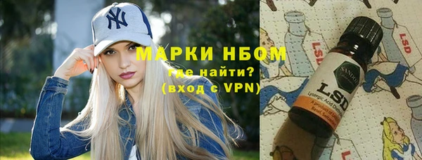 гидра Корсаков