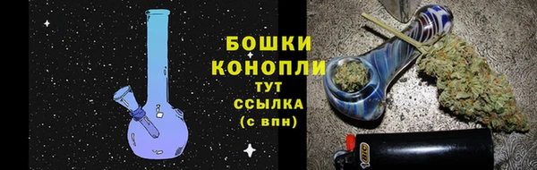 гидра Корсаков